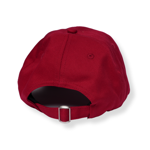 Acme Logo Dad Hat - Crimson/Grey